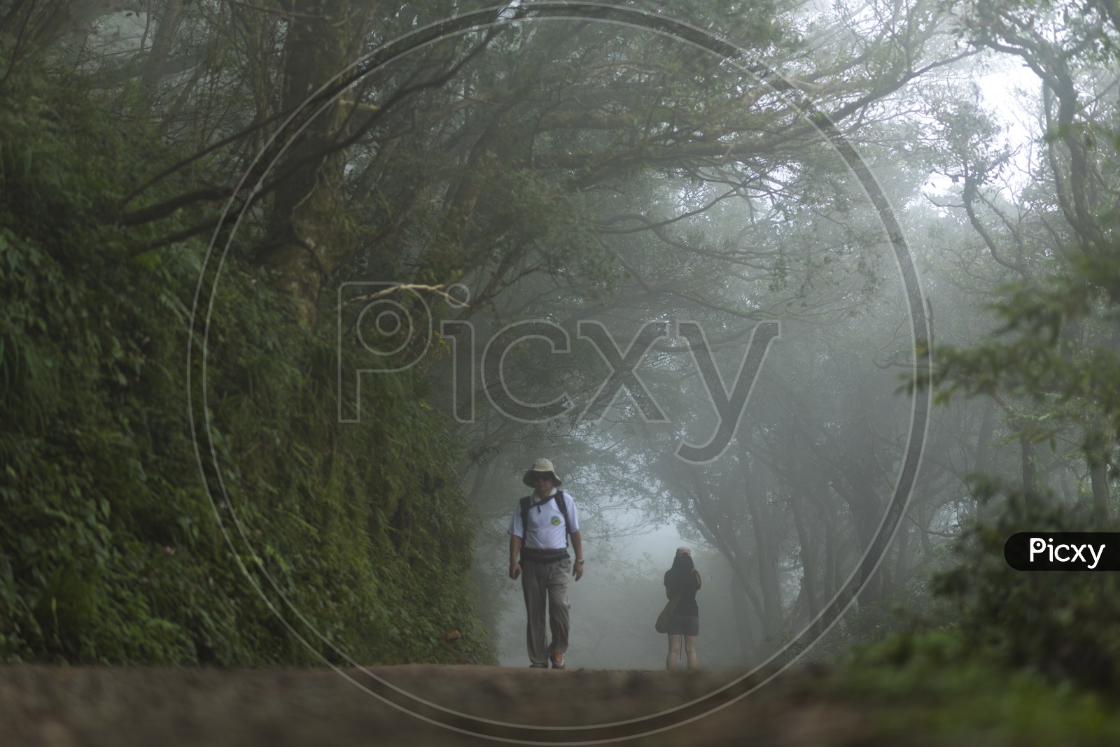 Tourists Taking nature walkways  in Yangmingshan National Park in Taipei, Taiwan