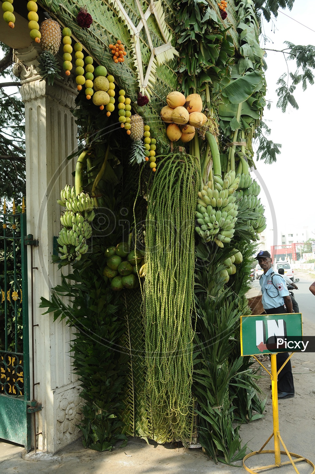 Bananas and Coconuts being hung at the entrance
