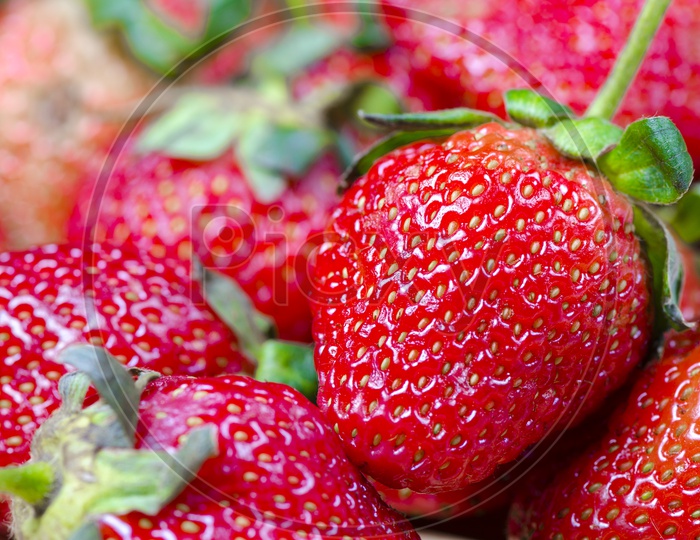 Strawberry Fruit Closeup  Forming A Background