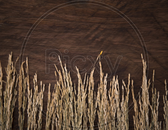 vintage texture background with grass and wooden board