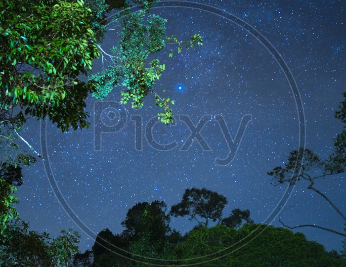 Star Gazing With Milkyway Galaxy Stars Over a Tropical Forest Background