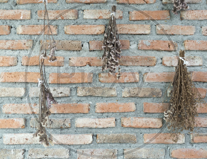 Dried Flowers Over a Brick Wall With Vintage Filer