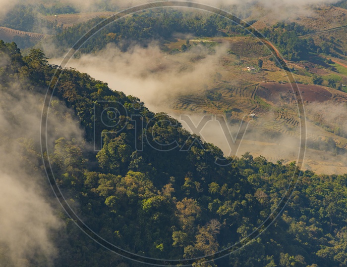 Bird eyes view of Forest of tropical Trees, Fog create mystic Atmosphere on a mountain