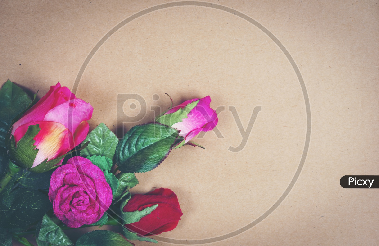 Template Background With Rose Flowers And Spacing