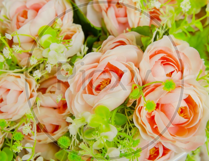 Rose Flowers In a Bouquet Closeup