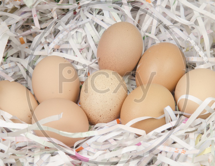 Closeup Of Eggs