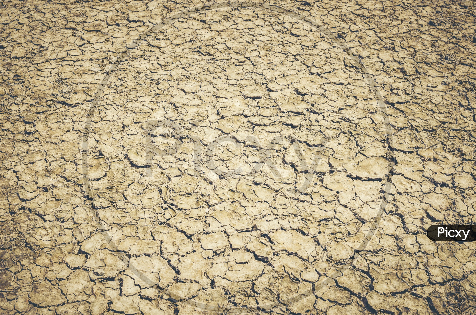 Drought Land With Dry Cracked Soil Texture