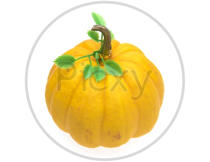 Close up of giant yellow pumpkin isolated on white background