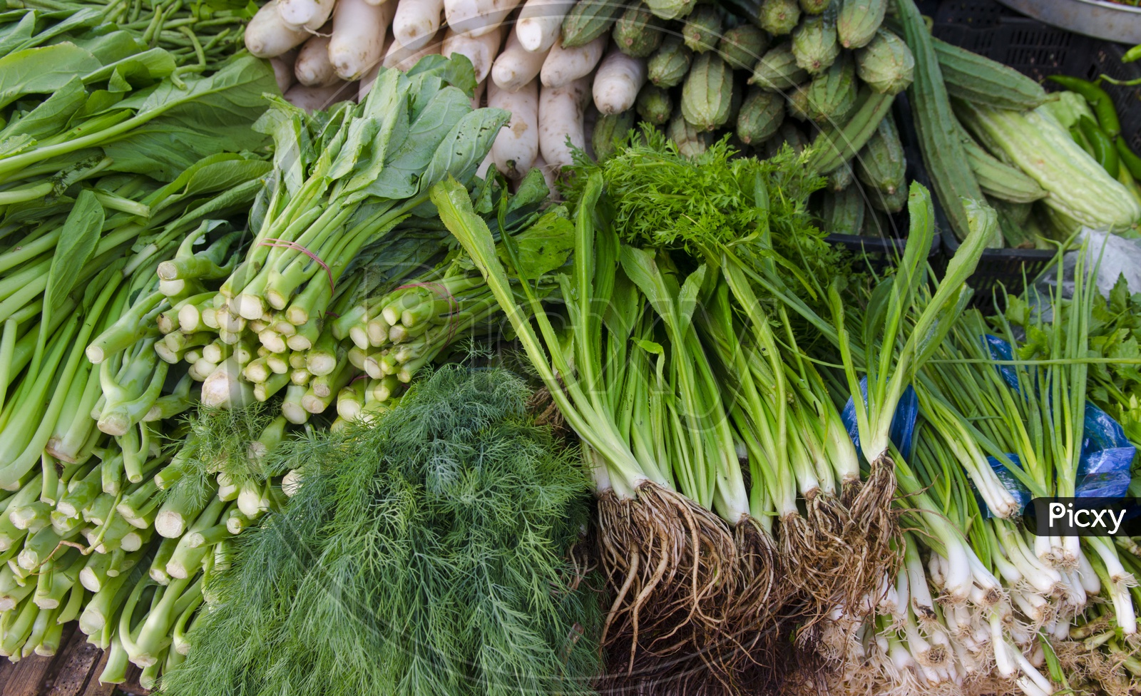 Fresh Green leafy Vegetables in a vegetable Vendor Stall