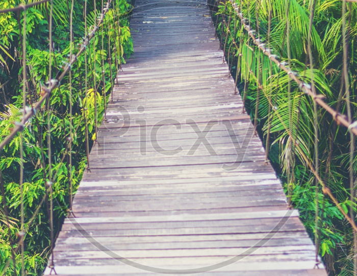 Wooden Cable Suspension Bridge over a Water Channel In Tropical Forest