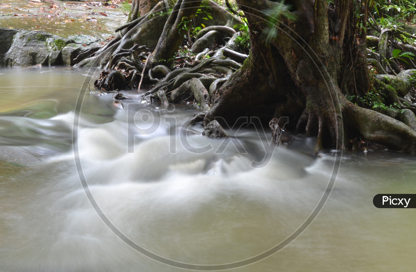 Long Exposure shot of Water Flowing Over stones With Silky Texture Of Water Flow