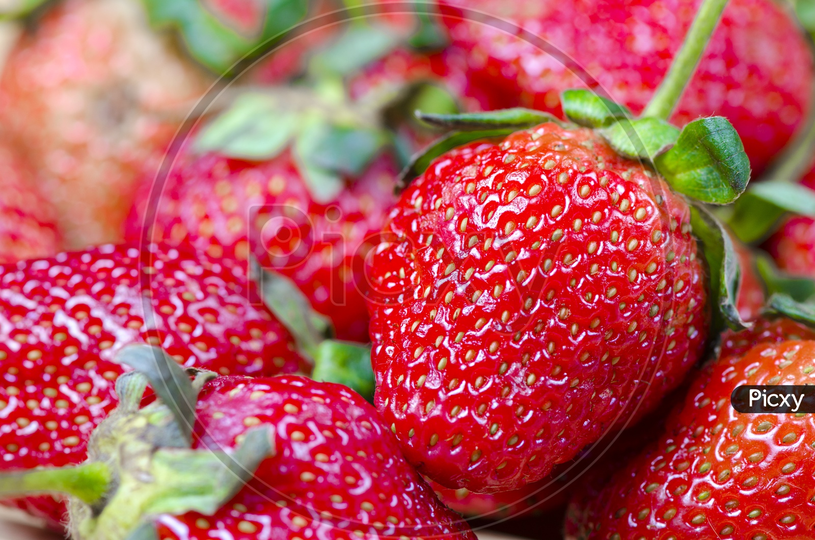 Strawberry Fruit Closeup  Forming A Background