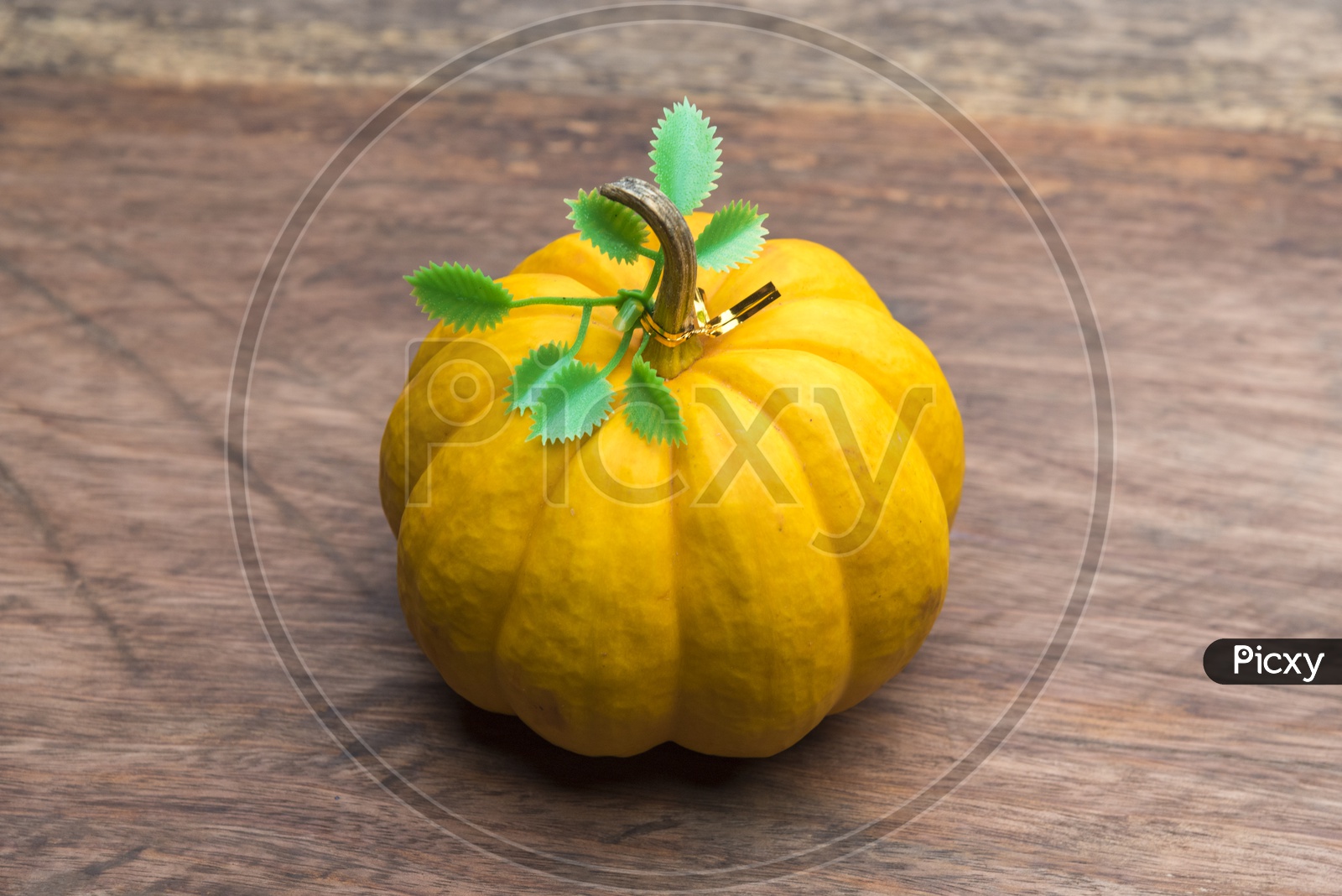Yellow raw pumpkin on wooden table background