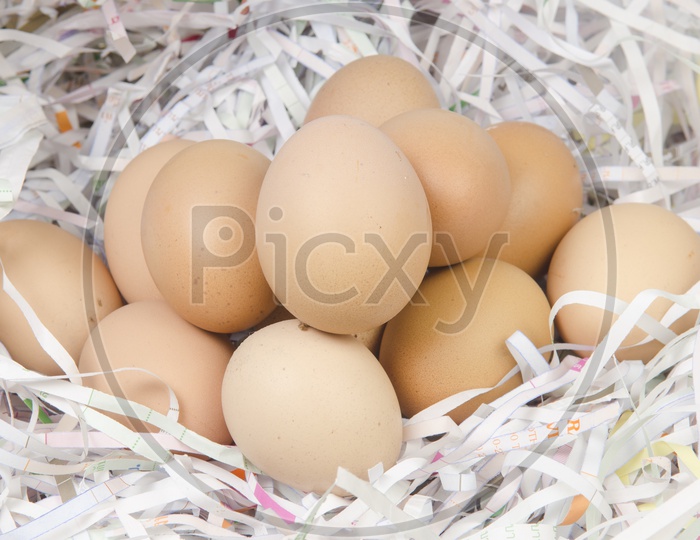 Bunch of Eggs