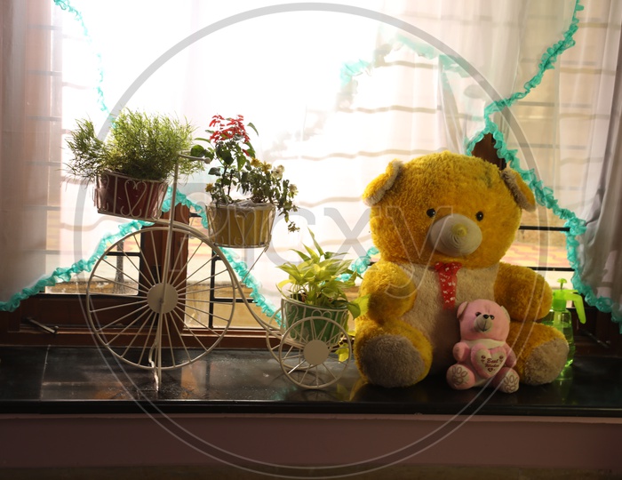 Image of Teddy bears and tricycle planter-LB498466-Picxy