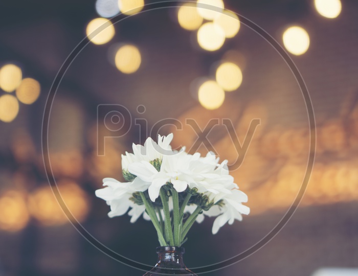 Flower vase on a Cafe With Lights Bokeh Background