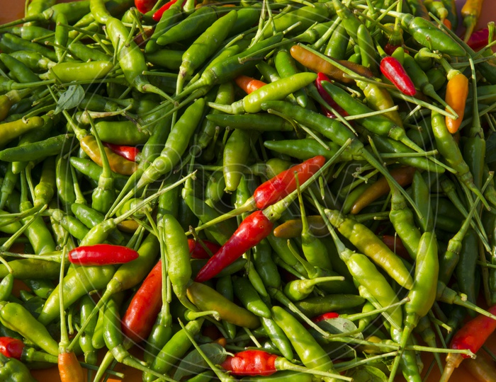 Closeup of organic Green chilli  Filled background