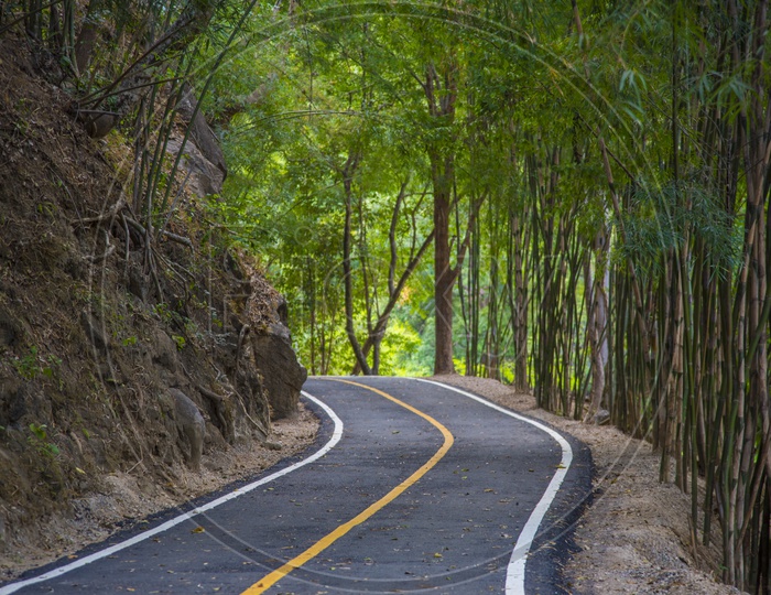Road through mountains - walking trail in tropical forest