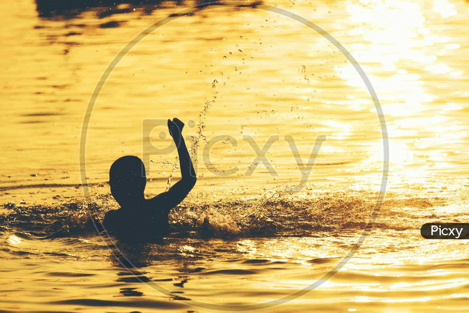 Silhouette of Boy Swimming In  Lake  With Sunset Golden Light