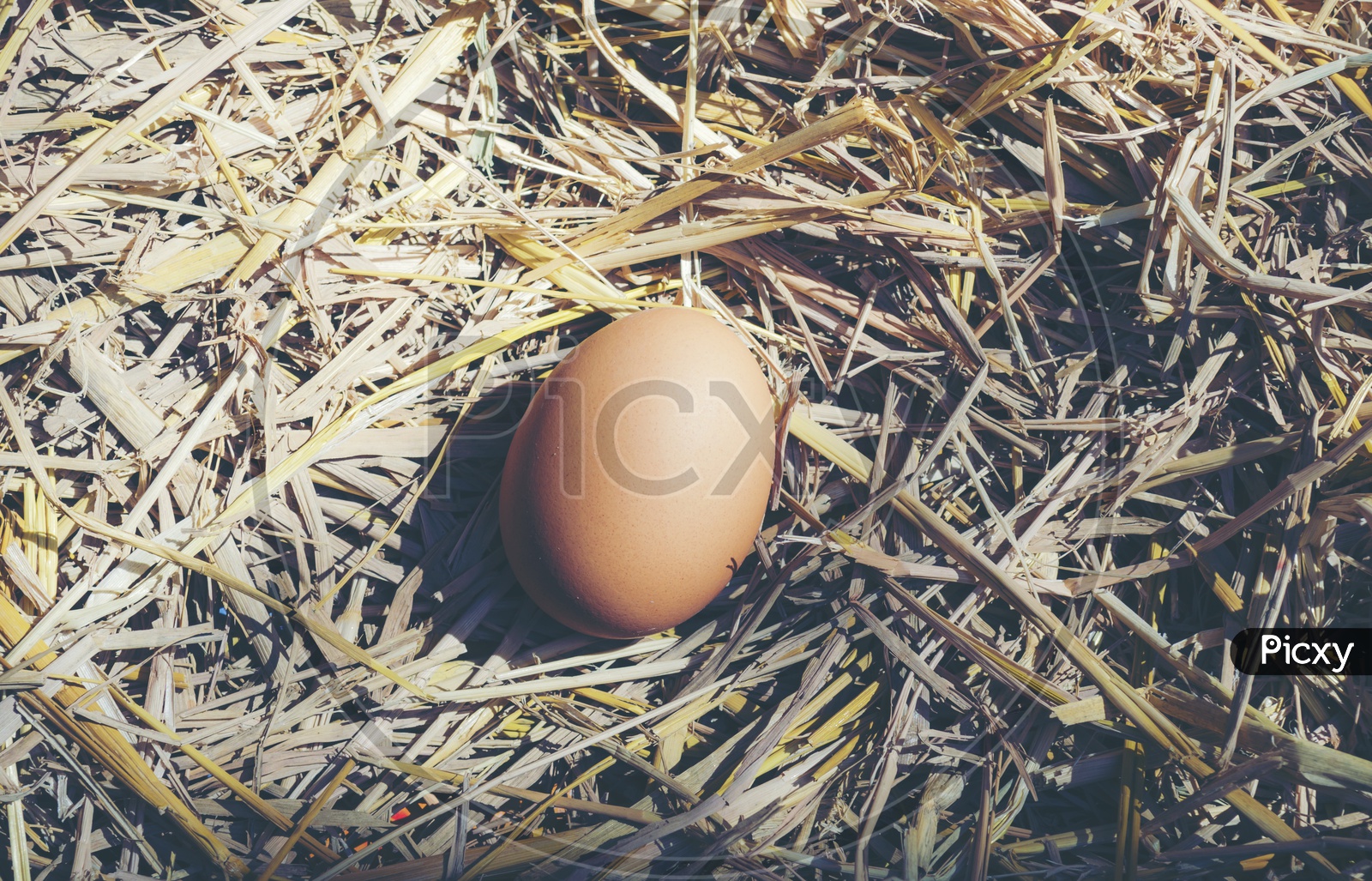 Easter Eggs  With Vintage Filter