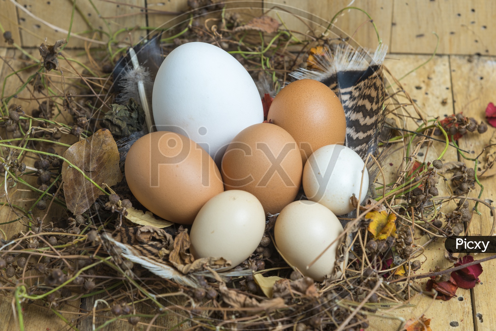 Bunch Of Easter Eggs In a Basket  Over Wooden Background
