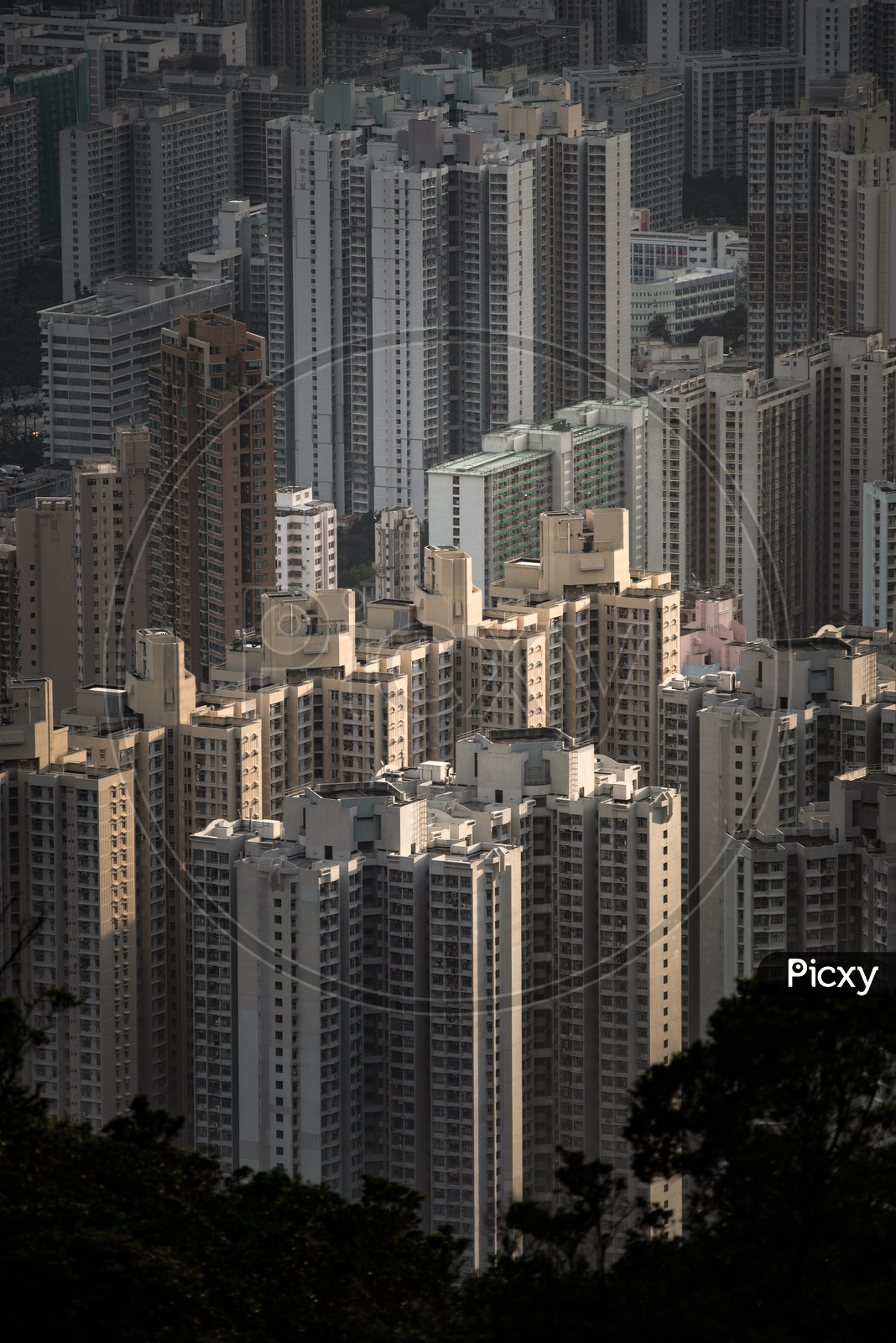 Hing Kong City Scape With Sky Scraper Buildings