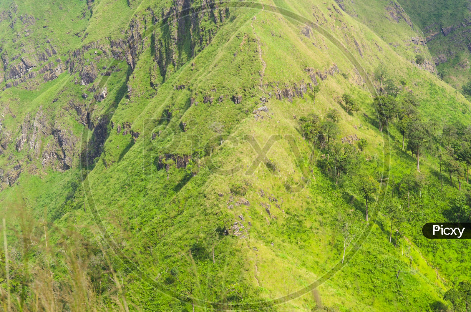 Green Mountain Cliff With pathways For Trekkers