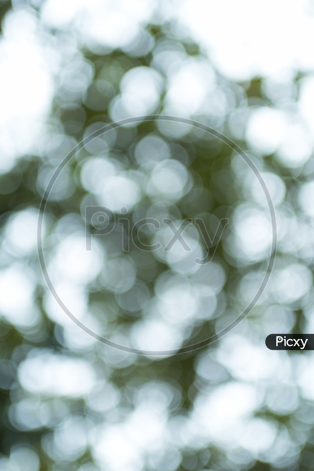 Abstract Background With Tree Leafs Bokeh