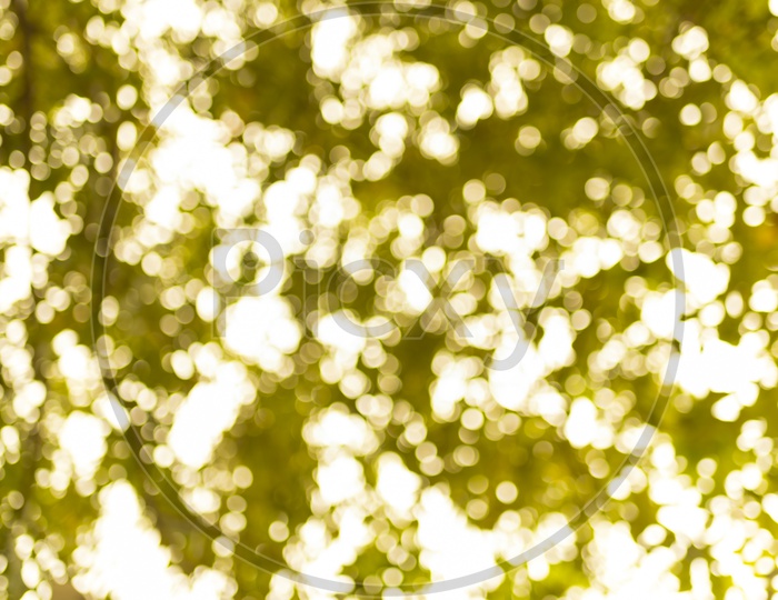 Abstract Background Of Green tree Canopy Over Bright Sky