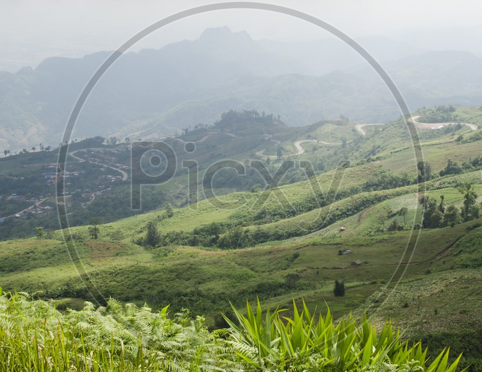 Step Field Or Step Wise Cultivation Or Agricultural Fields in Hills Of Phetchabun in thailand