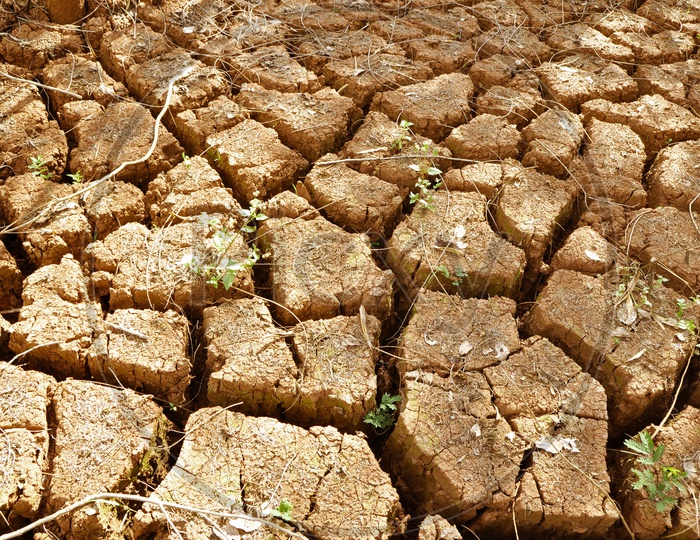 Drought Land With Dried Cracked Land