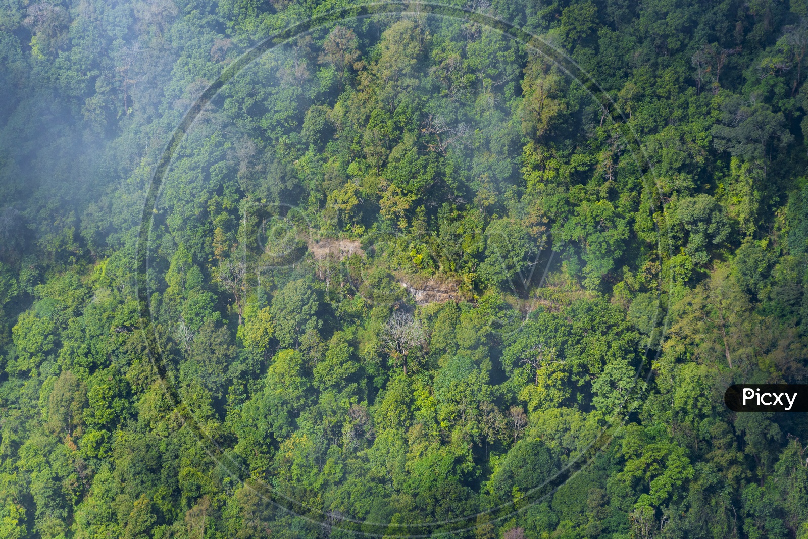 Bird eyes view of Mountains, Trees, and greenery of a deep forest