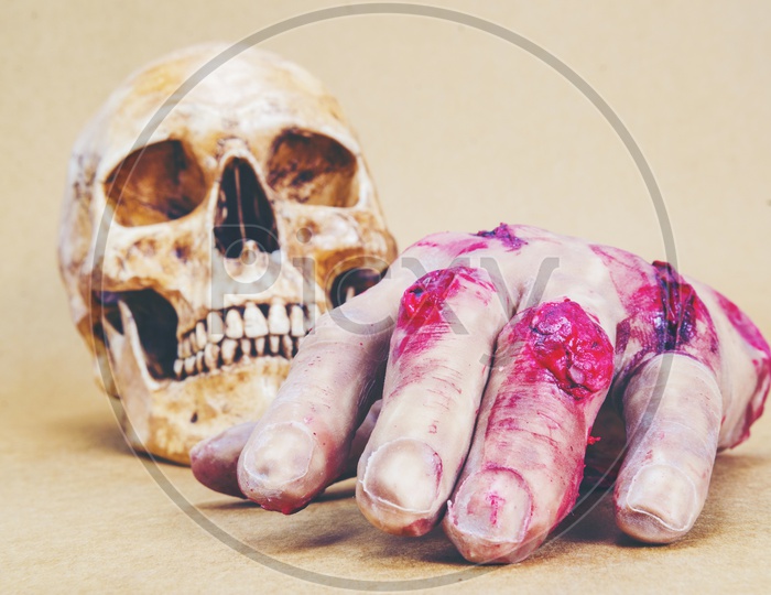 Human Skull and Hand For Halloween Backgrounds Or templates