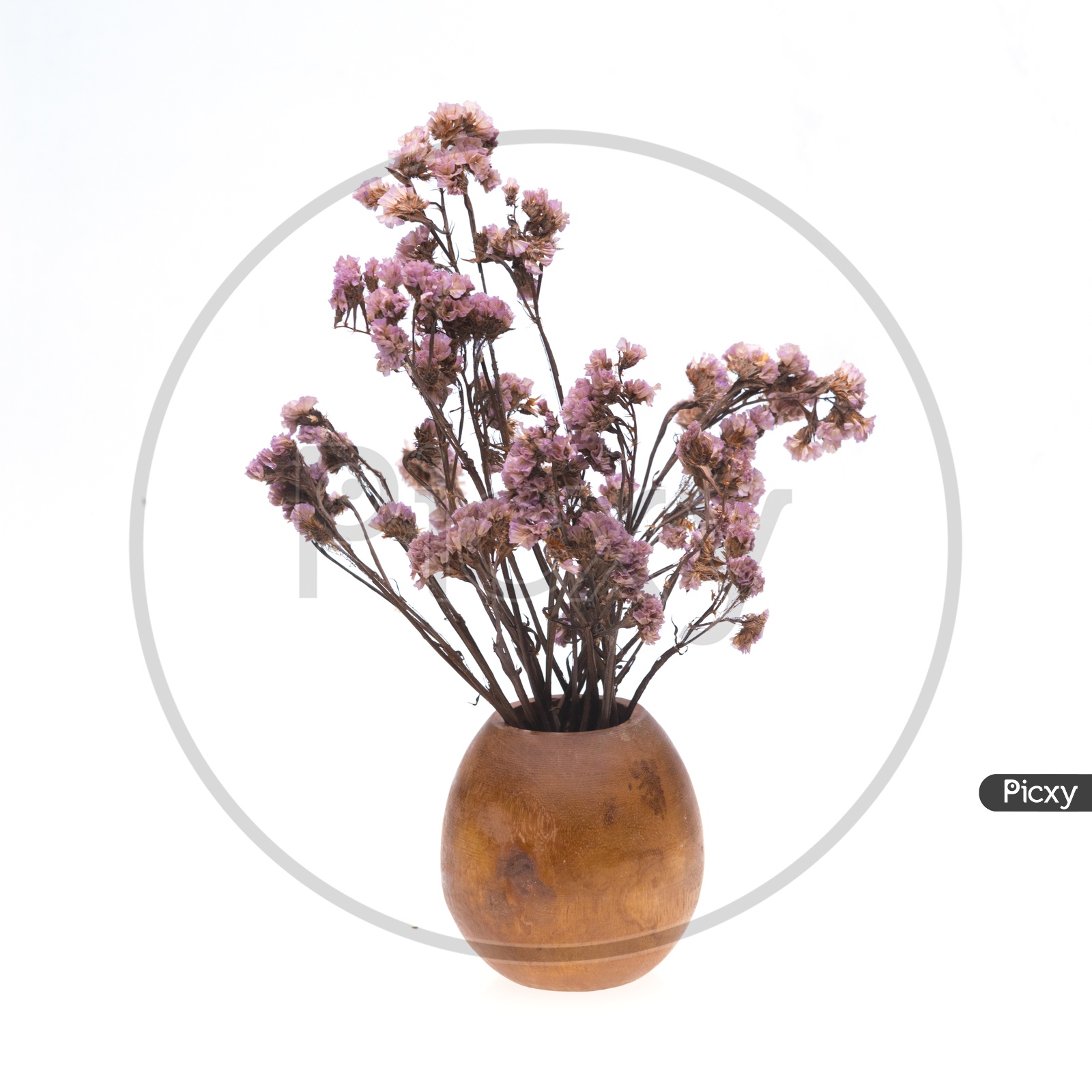 Dried pink flowers in a wooden vase isolated on white background