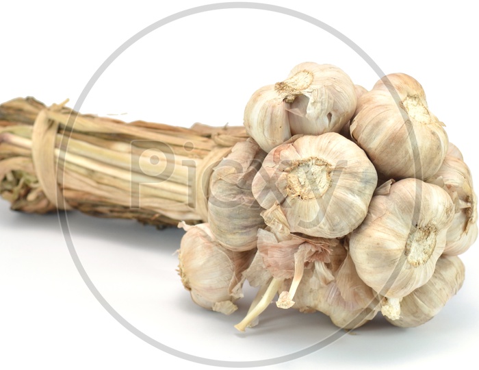 Garlic  Bunch On an Isolated white background