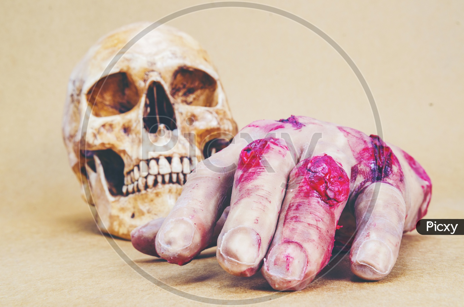 Human Skull and Hand For Halloween Backgrounds Or templates