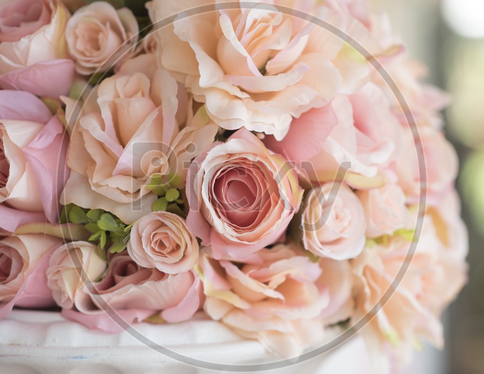 Beautiful Rose Flowers Closeup In a Bouquet Forming a Background