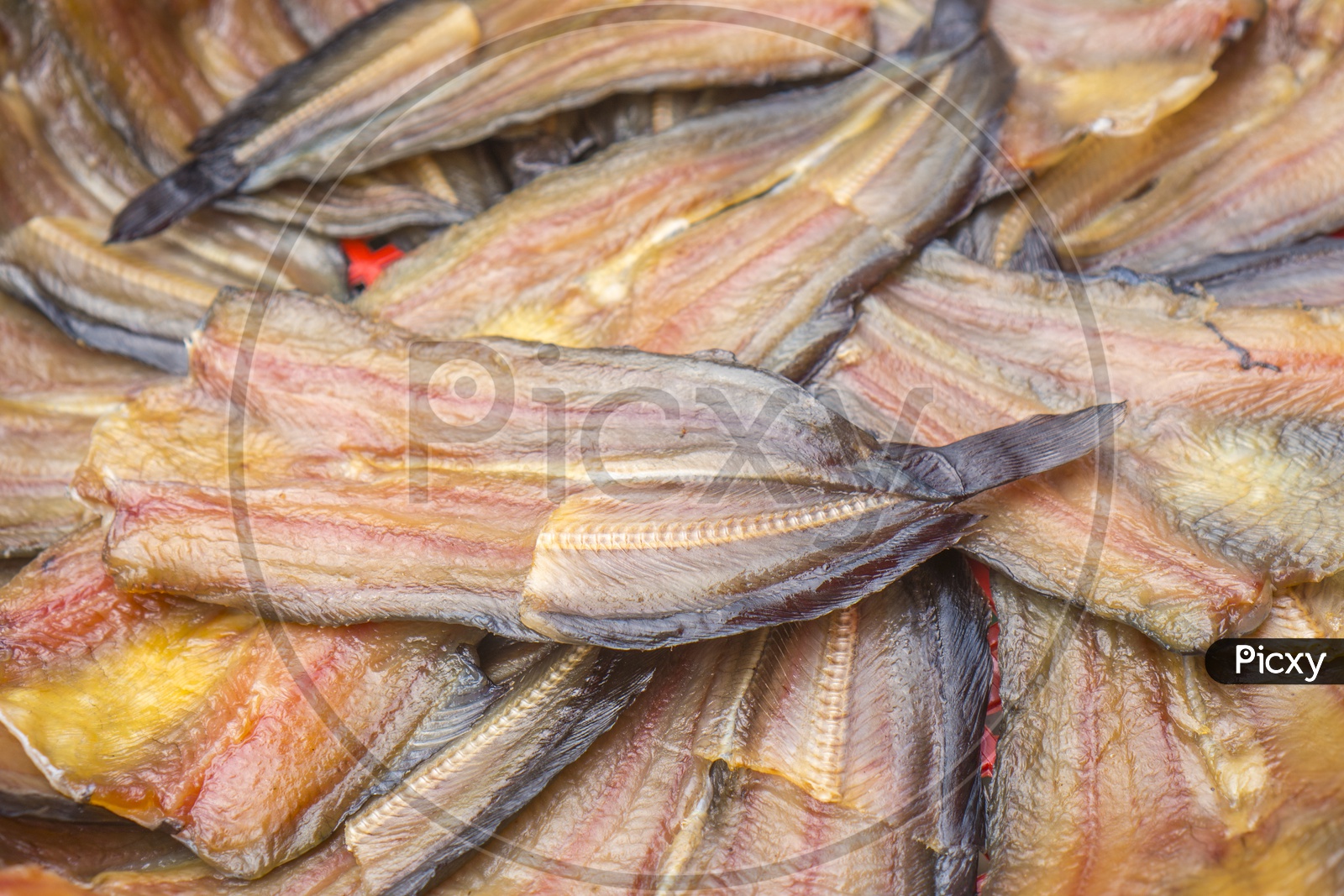 Dried fish Chops Closeup Forming a background