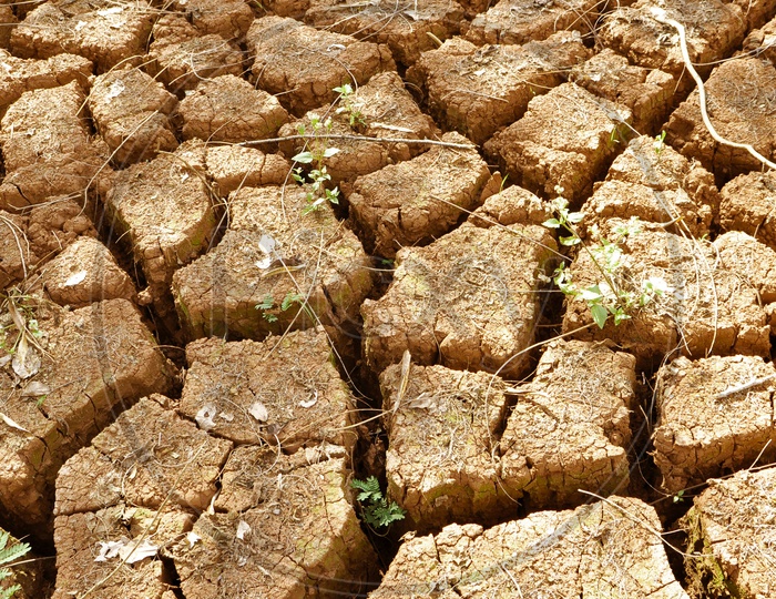 Dry cracked soil Or Land