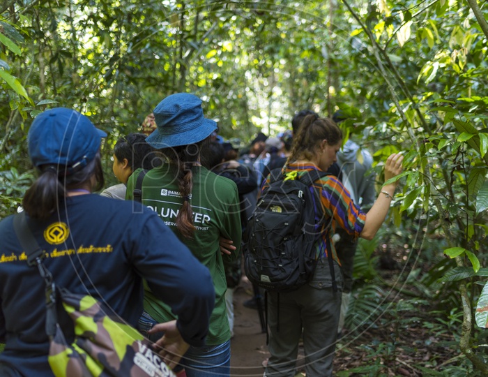 Wildlife Conservation Education Drive programs In Khao Yai National Park