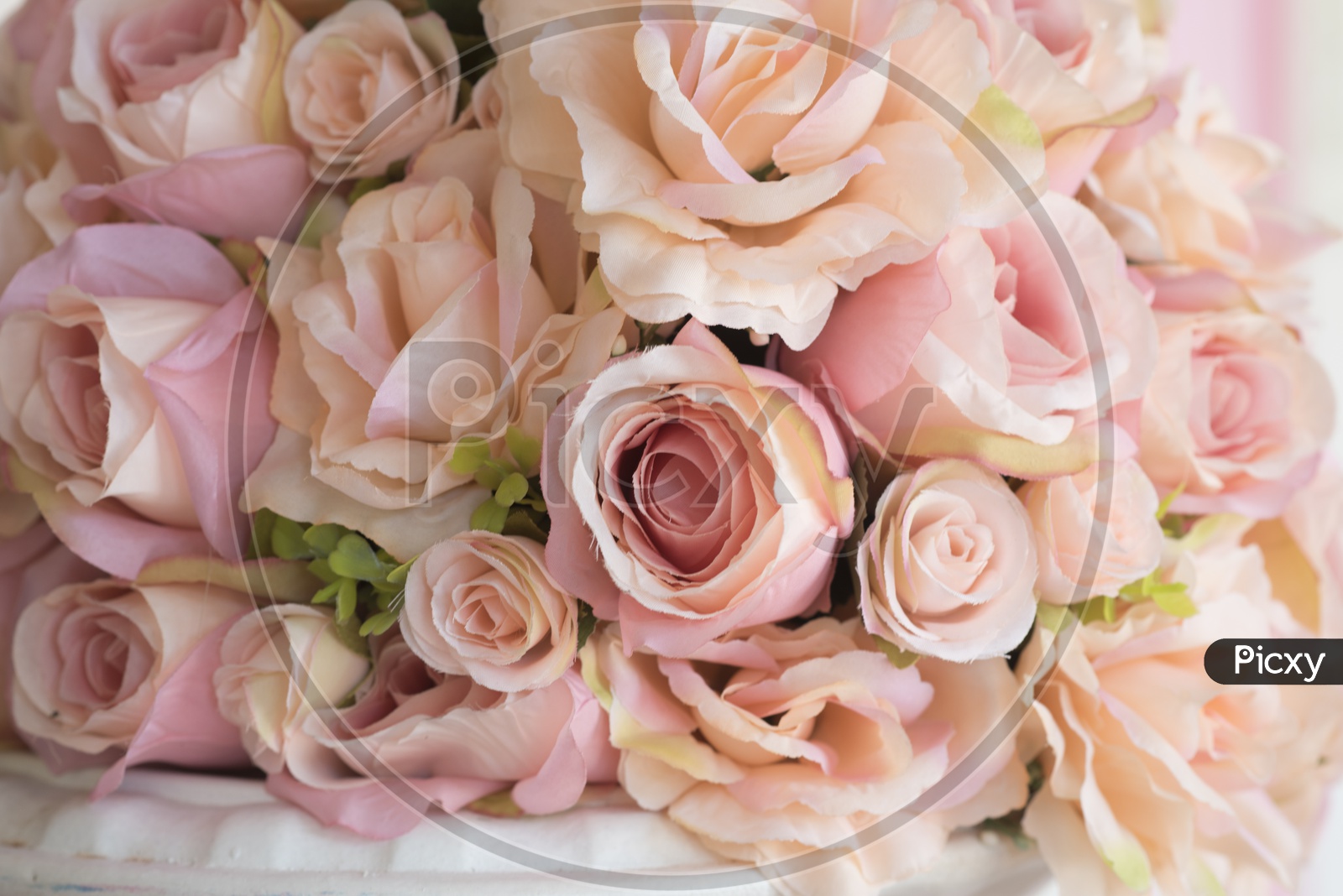 Beautiful Rose Flowers Closeup In a Bouquet Forming a Background