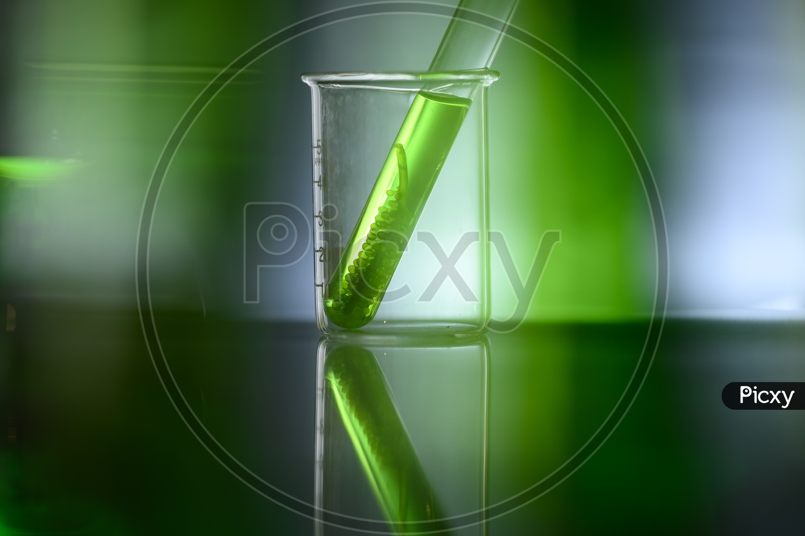 Algae biofuel test tube in biotech laboratory, Photobioreactor algae fuel research in biofuel industrial laboratories