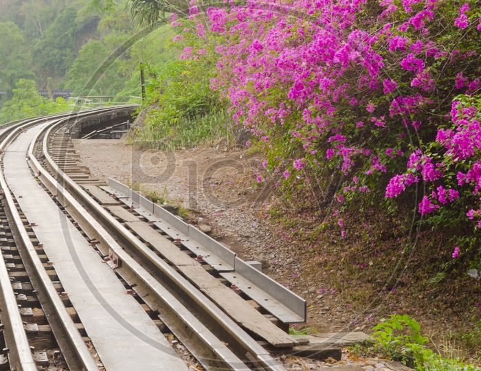 View Of  The Thailand-Burma railway Built During  World War II
