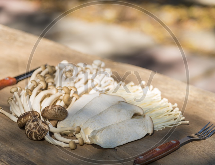 Processed mushrooms on a wooden background