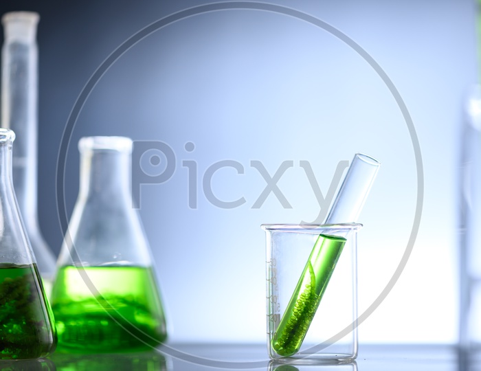 Algae biofuel funnel and test tube in biotech laboratory, Photobioreactor algae fuel research in biofuel industrial laboratories