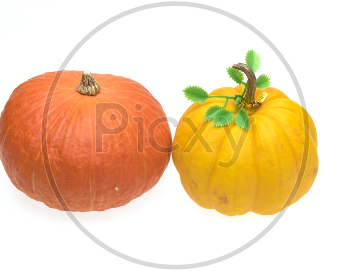 Giant pumpkins isolated on white background
