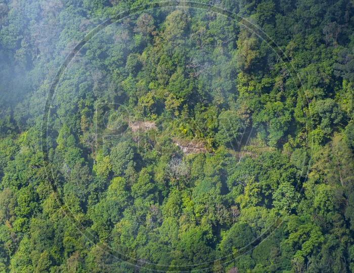 Bird eyes view of Mountains, Trees, and greenery of a deep forest