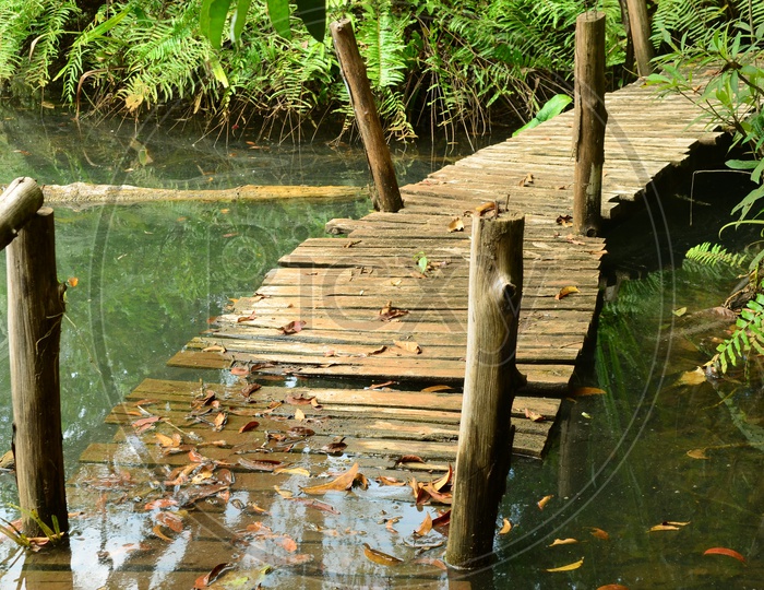 Broken Wooden bridge Sinking In Water At Forest
