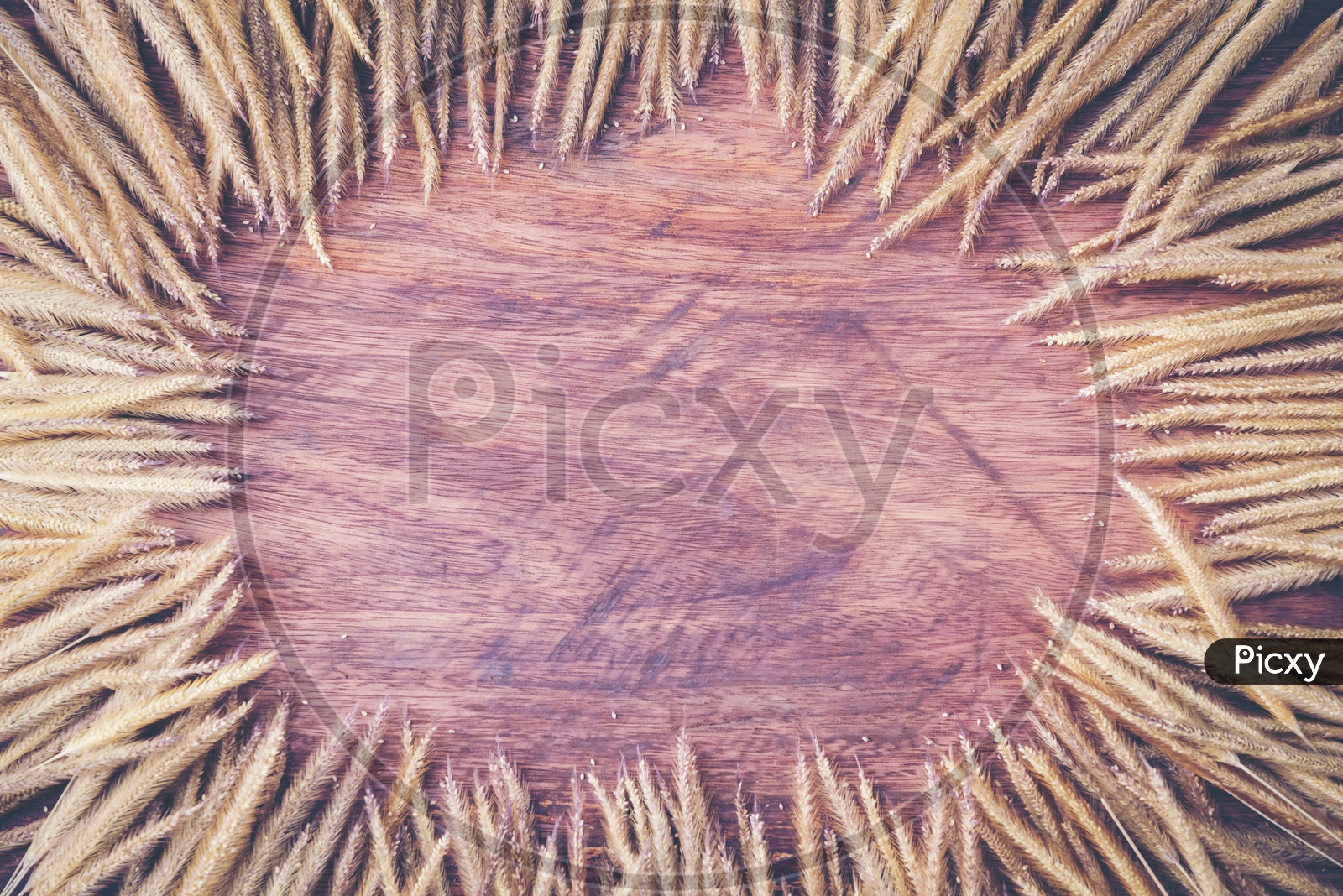 Abstract vintage texture background of wood and dry flowers