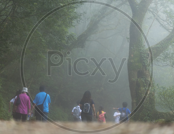 Tourists Taking Fog Filled nature walkways  in Yangmingshan National Park
